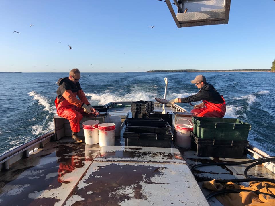 Two fishermen are cleaning fish on Lake Superior